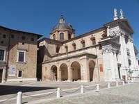 Dom zu Urbino