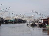 Fischernetze Setzfischerei im Po-Delta