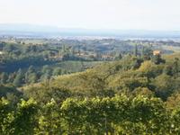 Weinstraße Jeruzalem