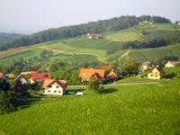 Weinberge der Steiermark