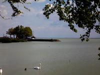 Balaton