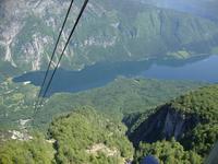 Blick zum See Bohinj