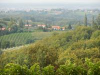 Weinstraße Jeruzalem