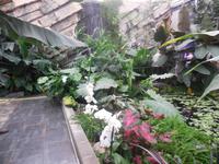 Orchideenhaus