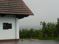 Weingut Urisk