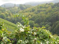 Steirische Weinstraße