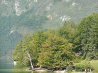 Bohinjer See