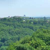 Weinstraße Jeruzalem