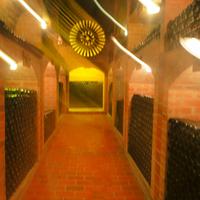 Sektkellerei Gorna Radgorna