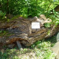 Wassermühle an der Mur