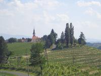 Weinstraße Jeruzalem