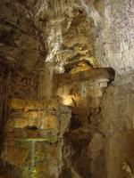 Sektkeller  in Gornja Radgornja