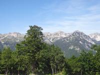 Blick vom Berg Vogel