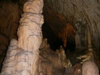Adelsberger Grotten
