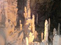 Adelsberger Grotten