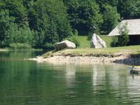 Am See