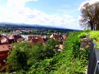 Aussicht auf Ptuj