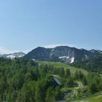 Berg Vogel