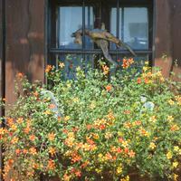 Bienenmuseum