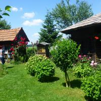 Bienenmuseum