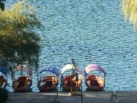Bleder See