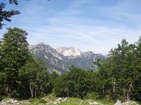 Blick auf den Berg Vogel