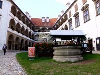 Burg von Ptuj