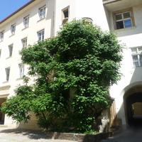 Graz