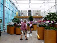 Orchideenhaus
