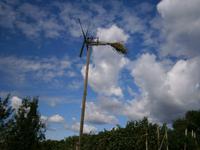 Weinberge