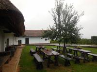 Weingut Urisk
