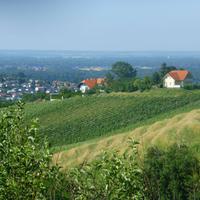 Weinstraße Jeruzalem