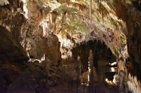 116 Postojna, Adelsberger Grotten