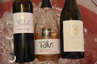 021 Maribor, Weinprobe in der Alten Rebe