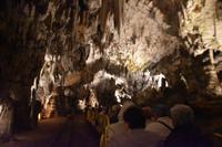 090 Postojna, Adelsberger Grotten