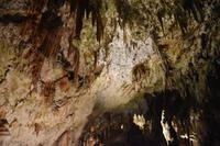 098 Postojna, Adelsberger Grotten