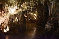 099 Postojna, Adelsberger Grotten