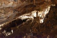 111 Postojna, Adelsberger Grotten