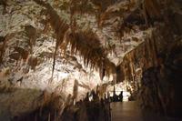 115 Postojna, Adelsberger Grotten