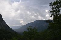 223 Bohinj, Blick zum Bohinj See und Vogel