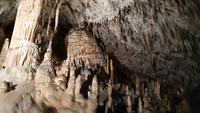 Postojna - Höhle Postojna - Tropfsteine 