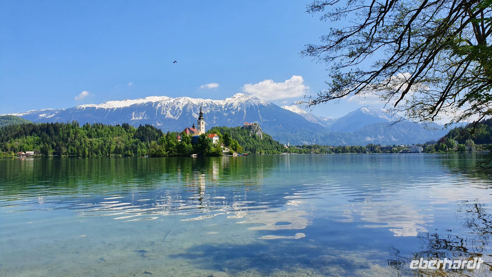 Bled - Blick auf die  Insel von Bled