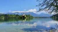 Bled - Blick auf die  Insel von Bled