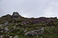 176 Velika Planina
