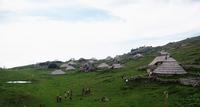 Velika Planina mit den ovalen Hütten