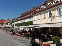 Stara Trta, der älteste Weinstock der Welt, Weinverkostung