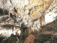 In der Höhle von Postojna fühlt man sich wie im Märchenland