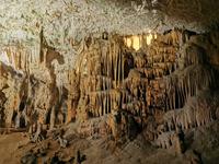 Durch die Höhlenbeleuchtung wirkt alles noch eindrucksvoller, Postojna Höhle