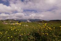 Blumenwiesen und malerische Bergkulisse, Velika Planina