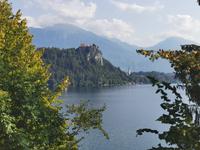 Burg von Bled